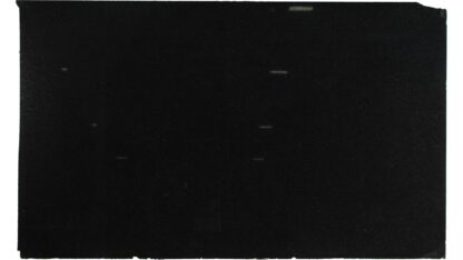 Black Pearl - 147718