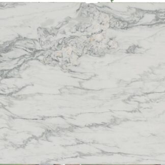 Calacatta Danby Honed - 172660